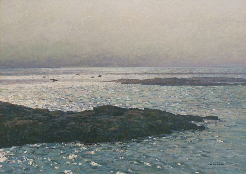 Cormorants off Schoodic Peninsula oil on canvas by T.M. Nicholas