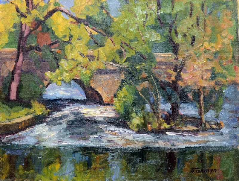 Reflections above the Charles by Susan Termyn