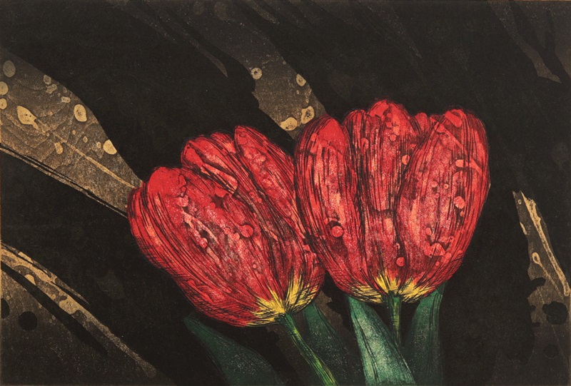 Get Back 77-Y by Taika Kinoshita