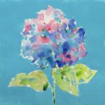Hydrangea on Cerulean by Jane Cooper