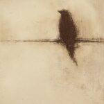 Paused by Jane Cooper