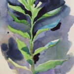 clean and modern watercolor painting floral
