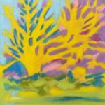 small and vivid soft pastel of golden yellow forsythia