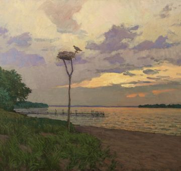 Osprey's Sunset by Viktor Butko
