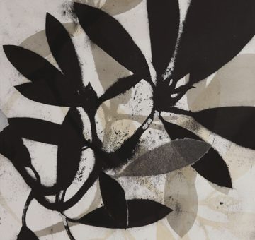 Rhody 977 by Jane Cooper